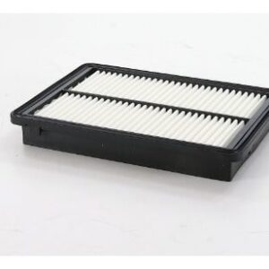 Filtro Aire Interfil F11A31