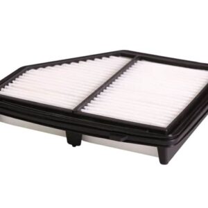 Filtro Aire Interfil F20A51